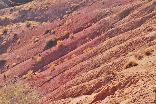 Nizhoni Point